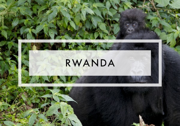 Posts on rwanda