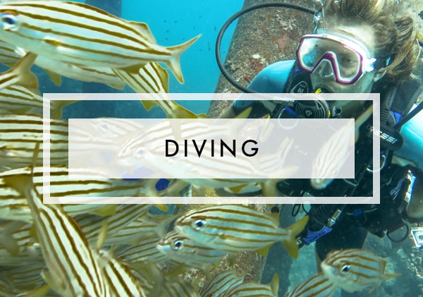 Posts on Diving