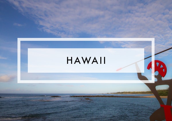 Posts on hawaii
