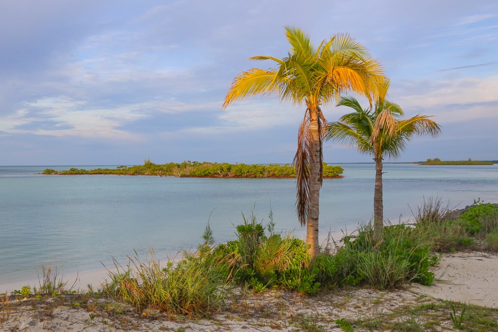 Deep Water Cay | A private island escape just off of Grand Bahama.