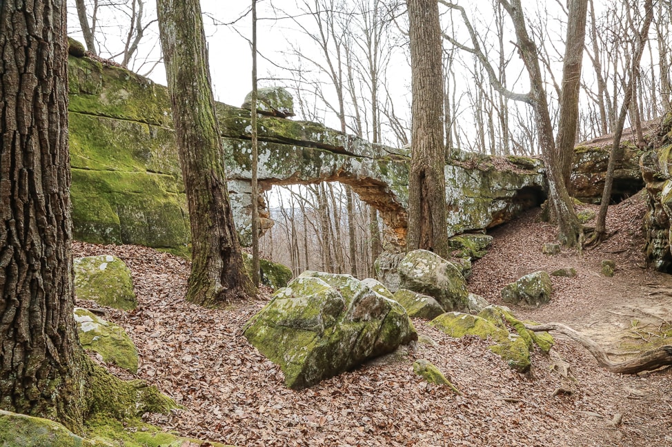Hiking with Dogs: Sewanee's Natural Bridge Trek in Tennessee