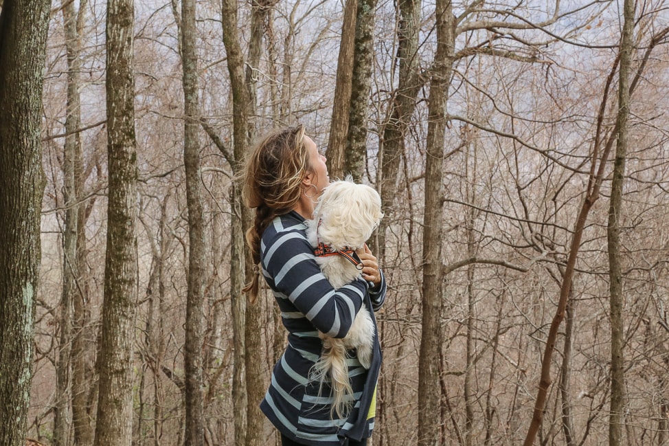 Hiking with Dogs: Sewanee's Natural Bridge Trek