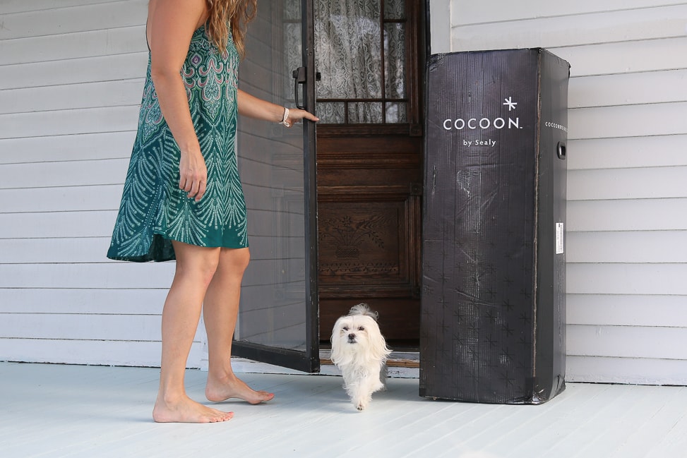 Cocoon by Sealy: a mattress in a box
