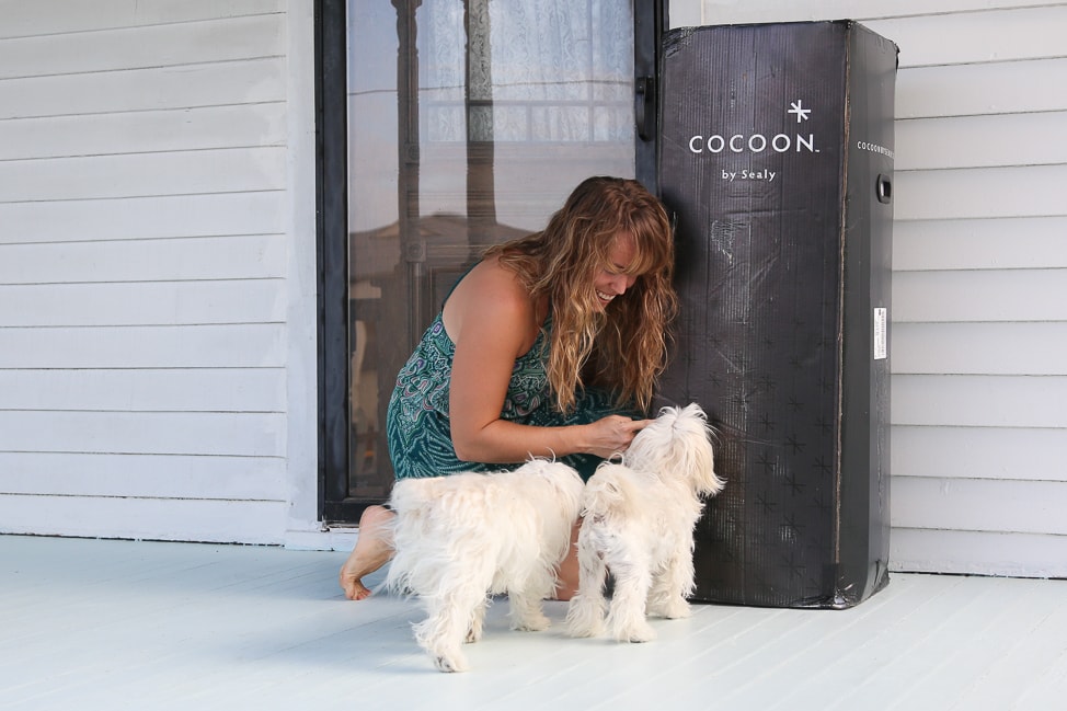 Cocoon by Sealy: a mattress in a box