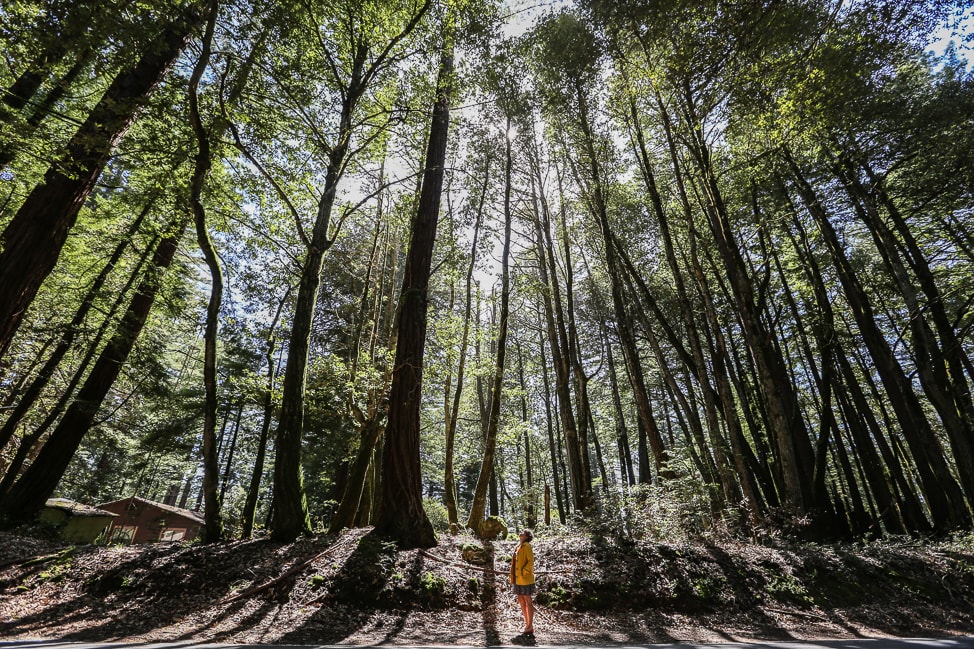 An Iconic Road Trip Down the Pacific Coast Highway
