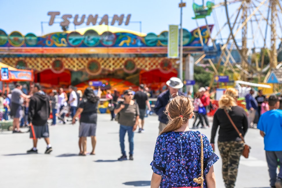 The Santa Cruz Beach Boardwalk