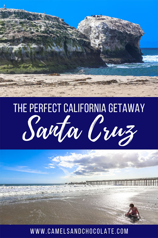 Santa Cruz Family Vacation: A California Planning Guide