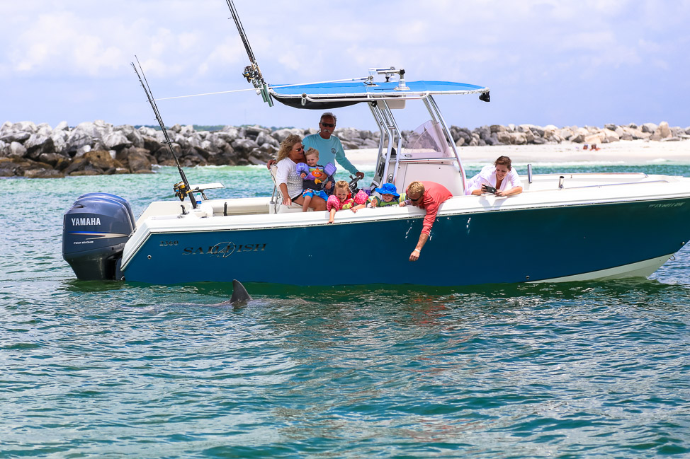 PCB Vacation: A Dolphin Tour to Shell Island