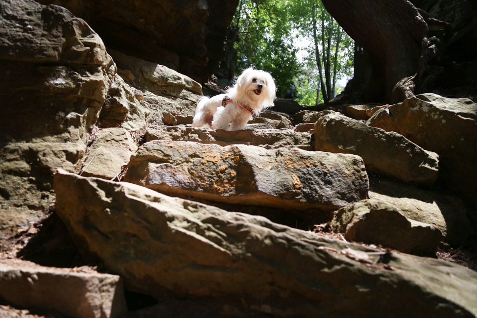 Old Stone Fort: Hiking with Dogs in Tennessee