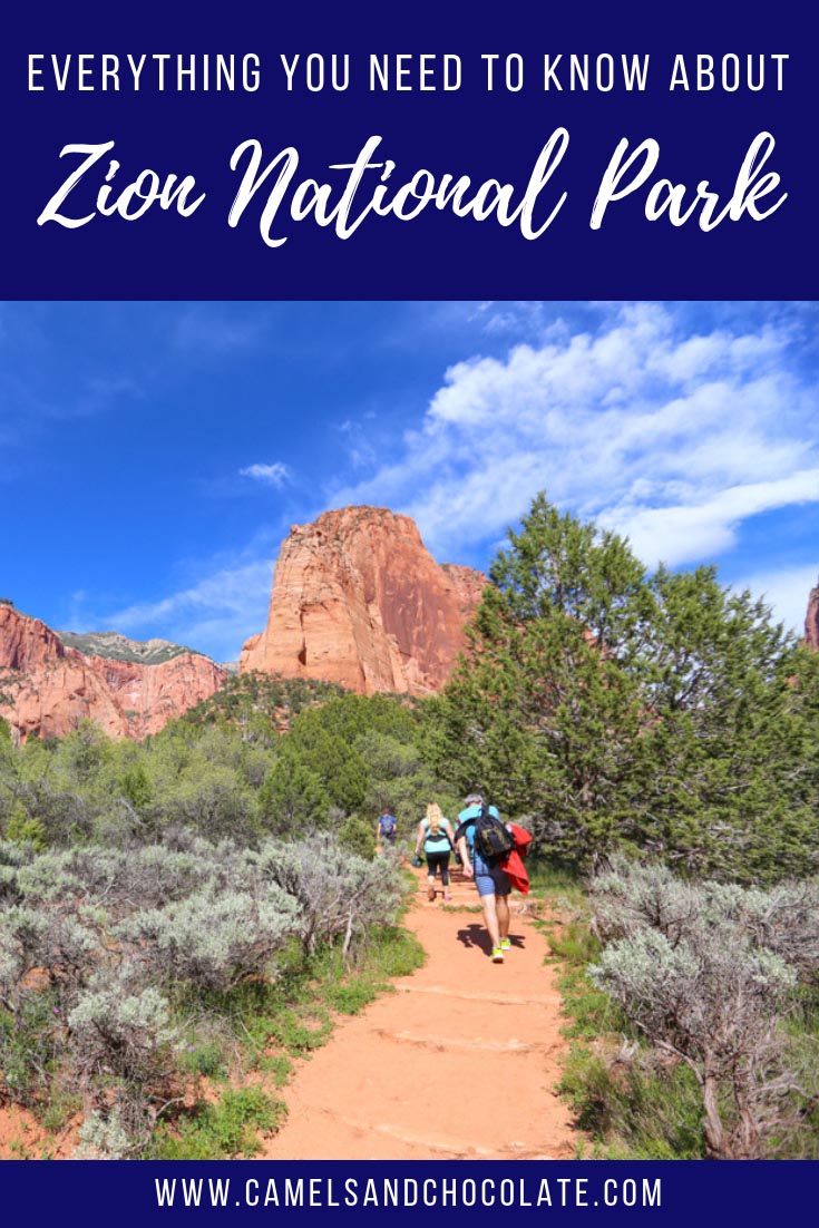 Everything You Need to Know About Zion National Park