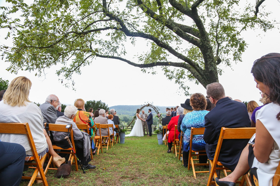 A Virginia Wedding in Wine Country