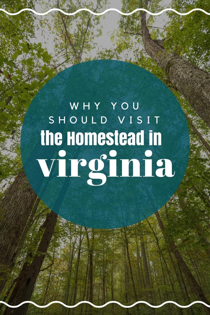 Rest and Relaxation: Why You Should Stay at Virginia's Iconic Homestead Resort