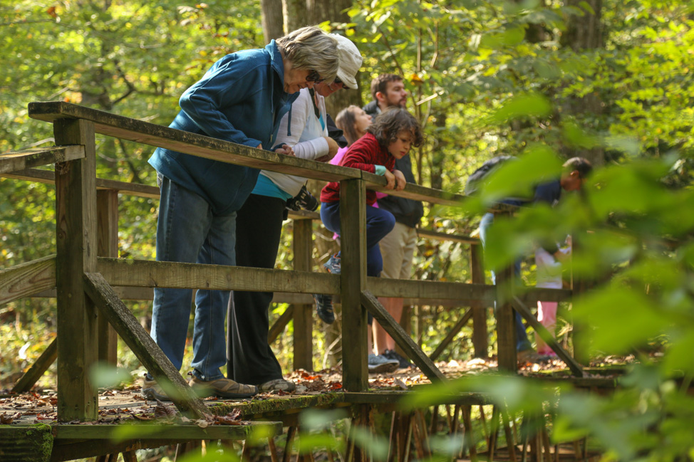 Waterfalls in Bath County, Virginia: A Homestead Resort Experience