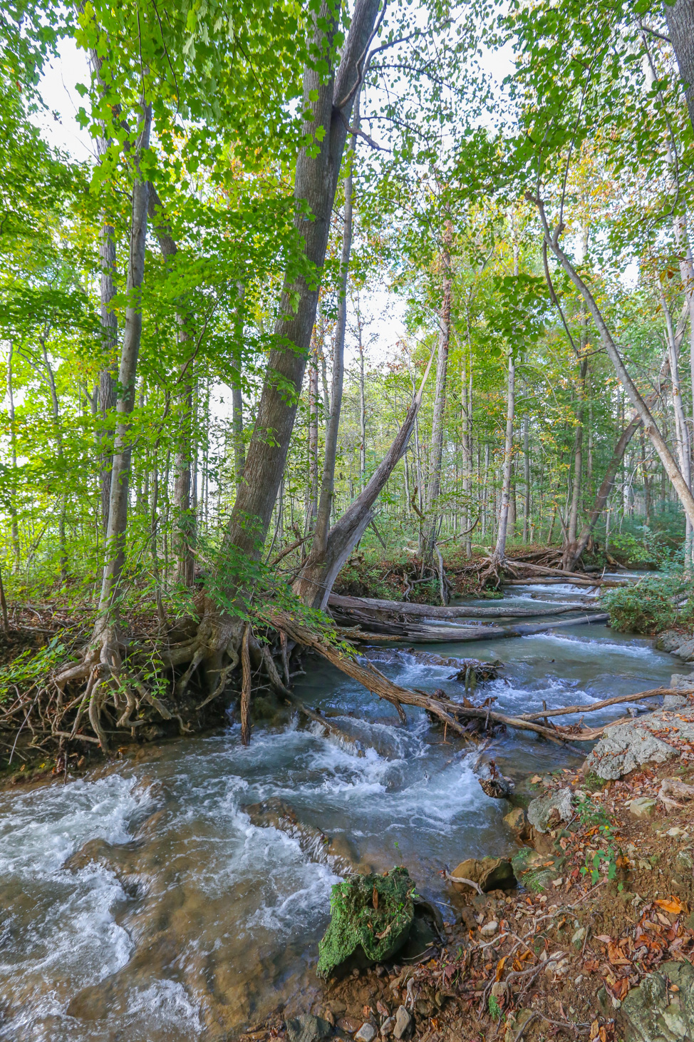Waterfalls in Bath County, Virginia: A Homestead Resort Experience