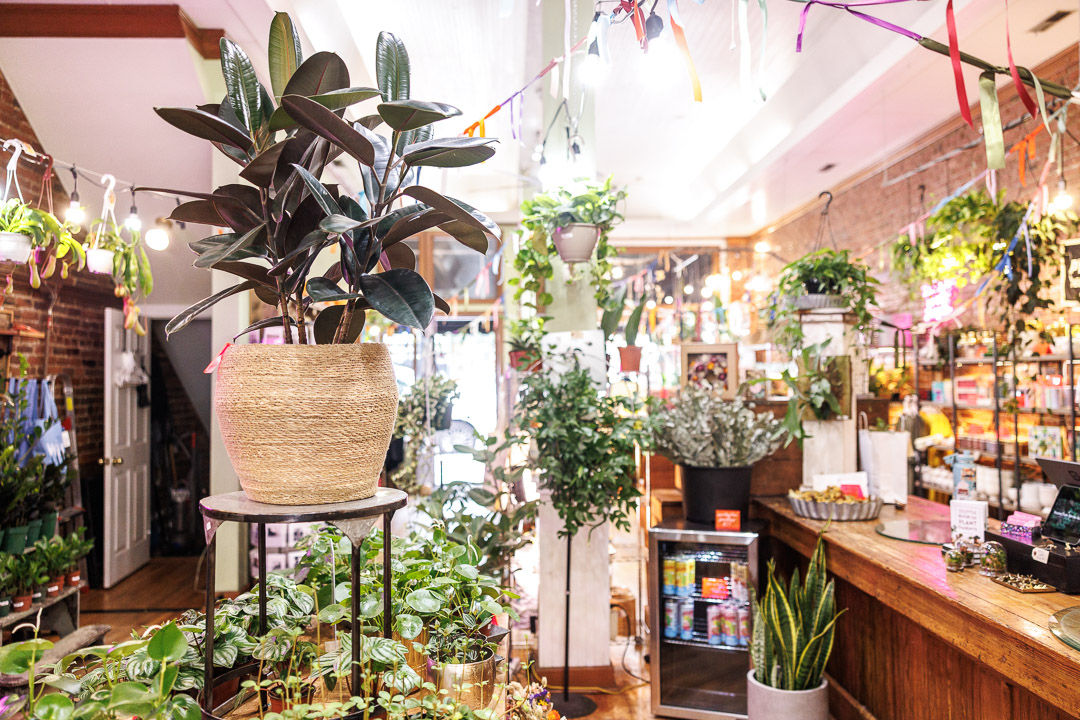 How to spend one day in Franklin, Tennessee: Shopping on Main Street