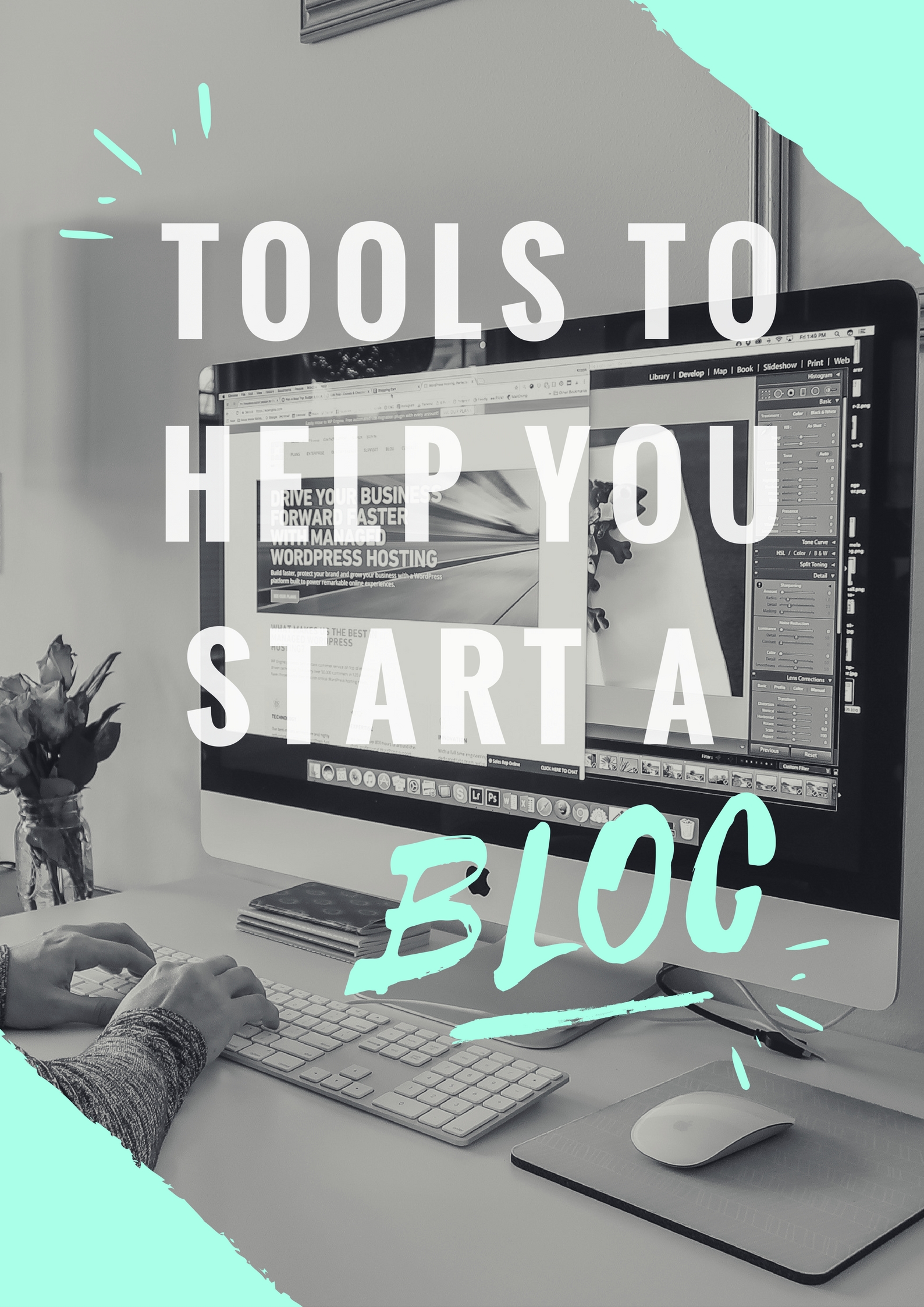 The Basics of Blogging: Everything You Need to Know from Hosting to Scheduling Apps