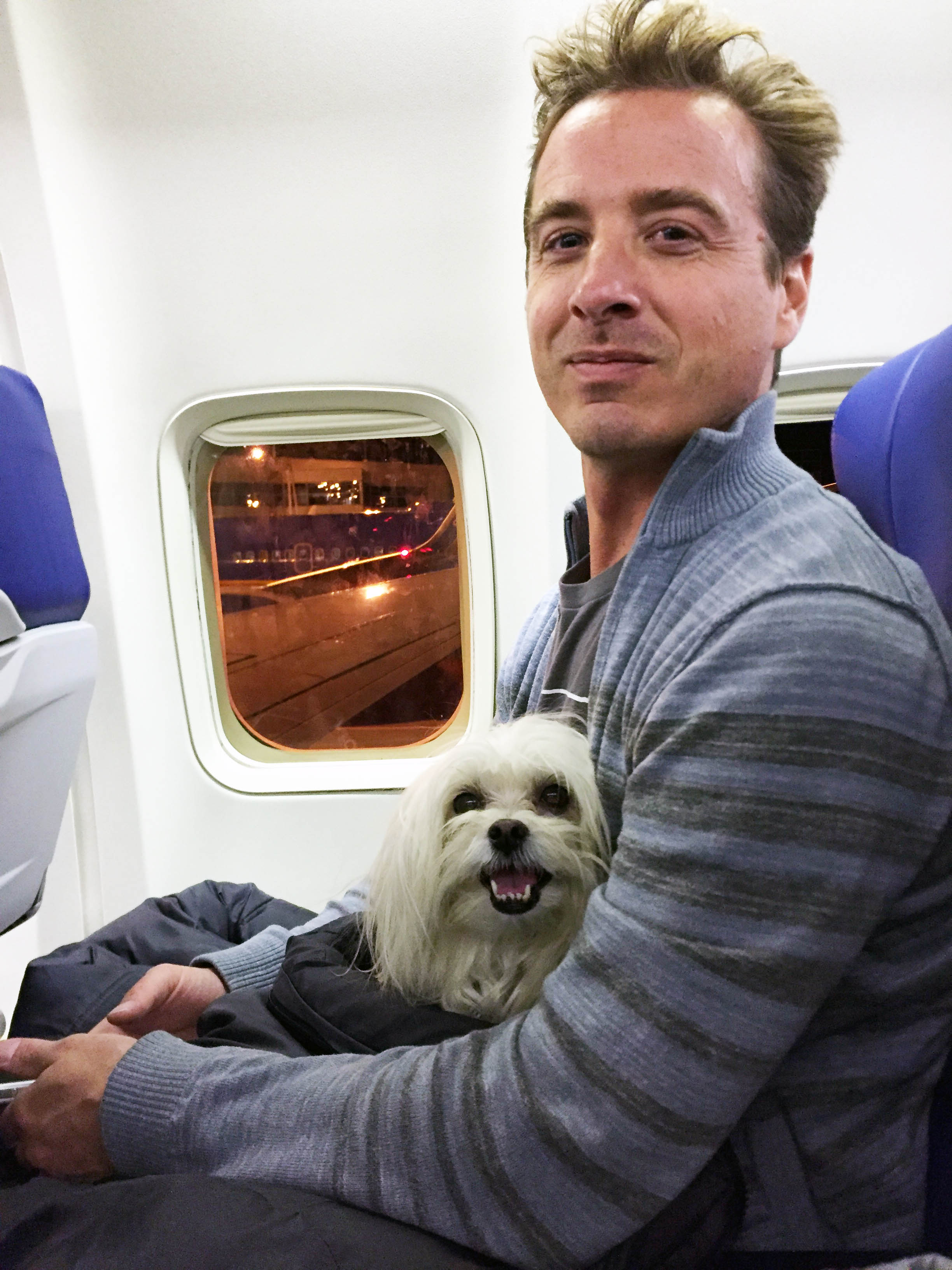 Flying with Dogs