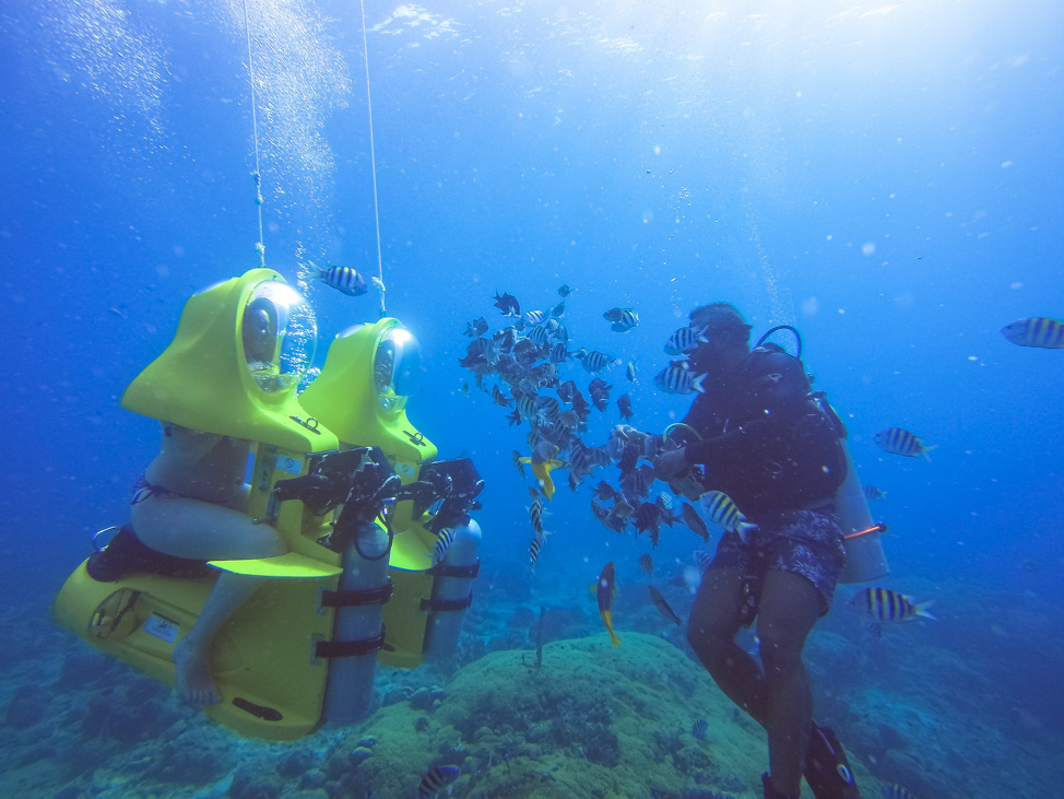 Diving + Snuba: Underwater Adventures in Curacao