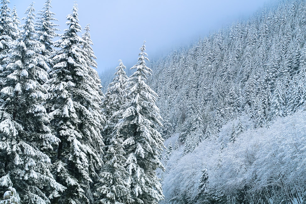 A Winter Retreat to Washington’s Cascade Mountains