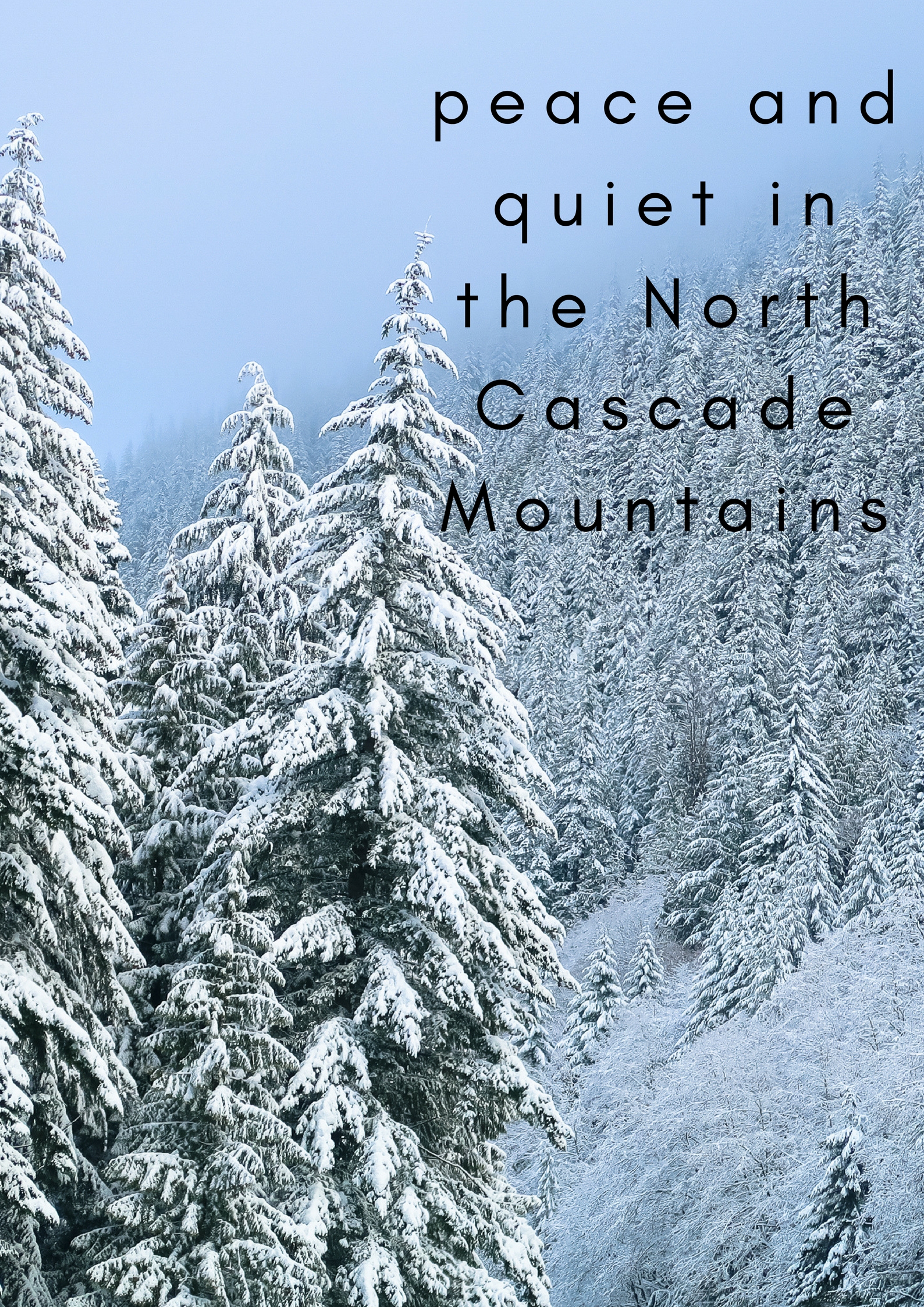 Peace and Quiet in the North Cascade Mountains of Washington