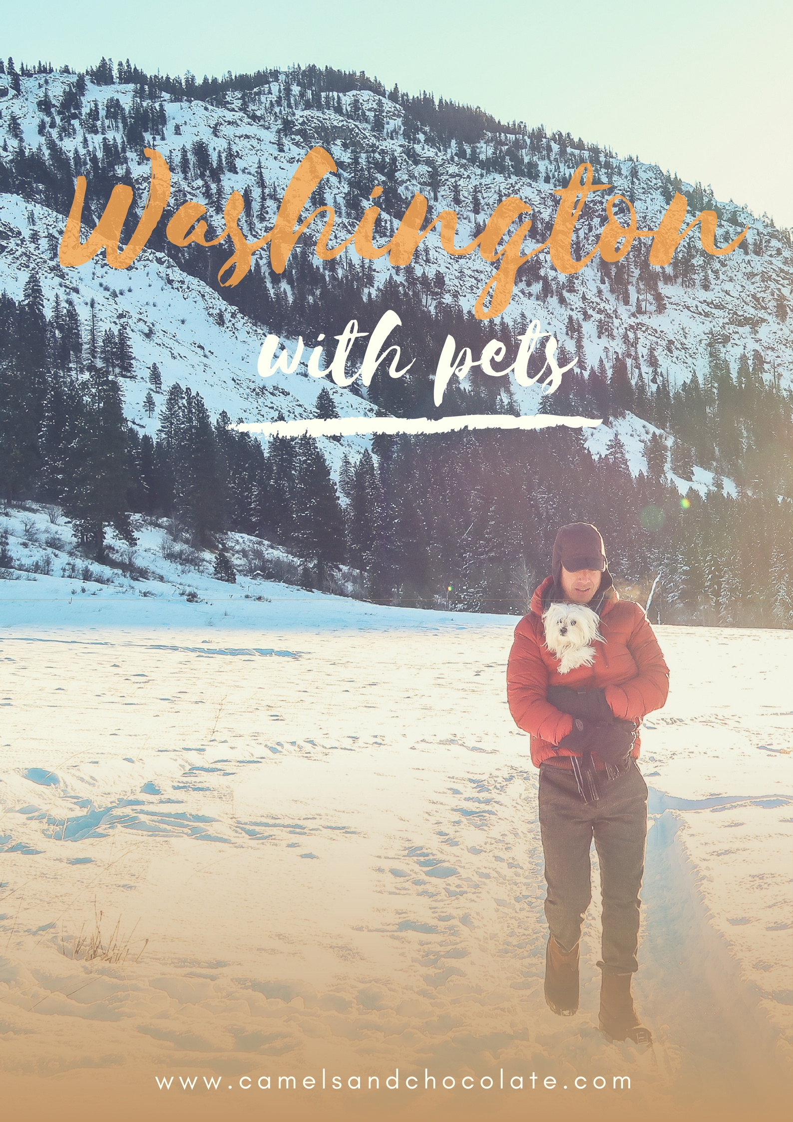 Washington with Pets: A Dog-Friendly Guide to Methow Valley