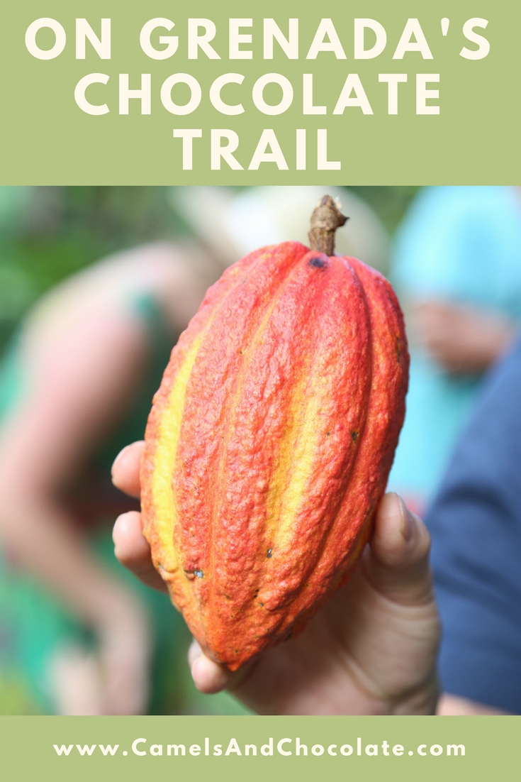 Exploring Grenada One Cacao Plantation at a Time
