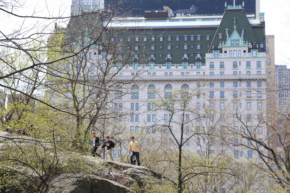 Three Perfect Days in New York City: The Plaza Hotel
