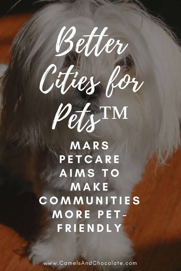 Introducing Mars Petcare's Better Cities for Pets Initiative: Educating Cities Around the United States on How They Can Be More Pet-Friendly