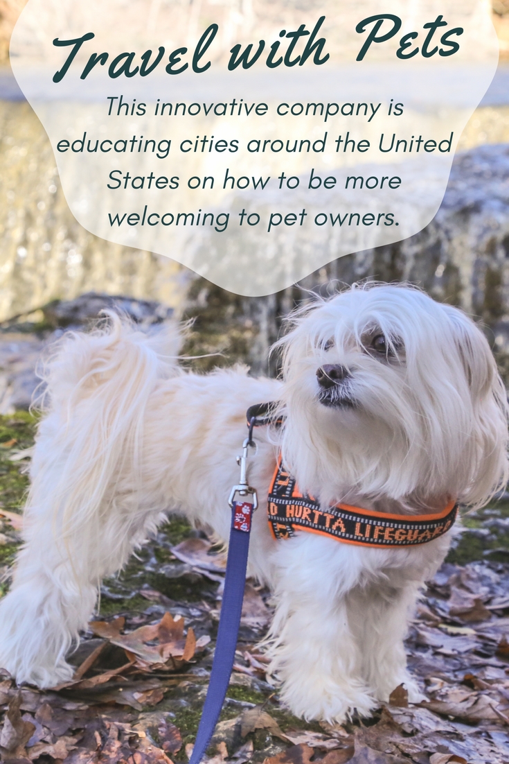 Introducing Mars Petcare's Better Cities for Pets Initiative: Educating Cities Around the United States on How They Can Be More Pet-Friendly