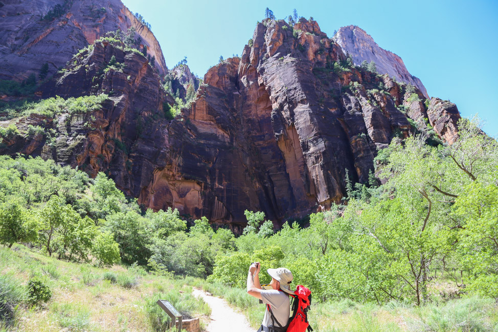 Looking for the Hike with the Best View in Zion National Park? Try Observation Point