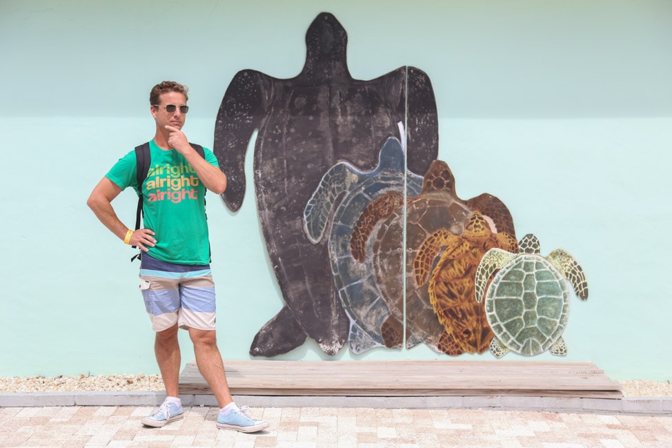 Visiting the Turtle Hospital in the Florida Keys