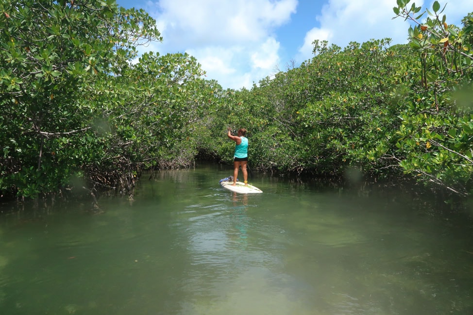SUP Yoga in Key West: Water Sports to Try in the Florida Keys