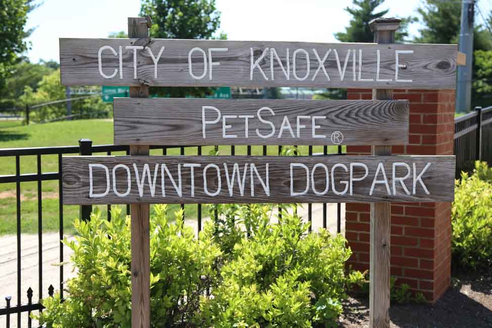 Visit Knoxville: What to See, Eat, Do and Drink in Knoxville's Most Underrated City | Pet-Friendly Knoxville