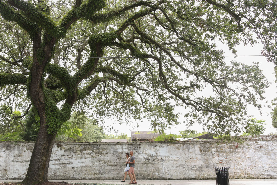 A Tour of the Garden District in New Orleans