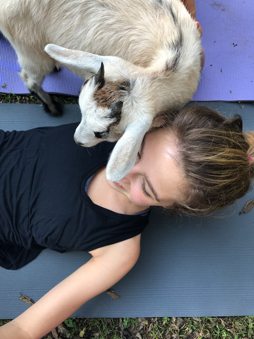 Goat Yoga in Nashville, Tennessee