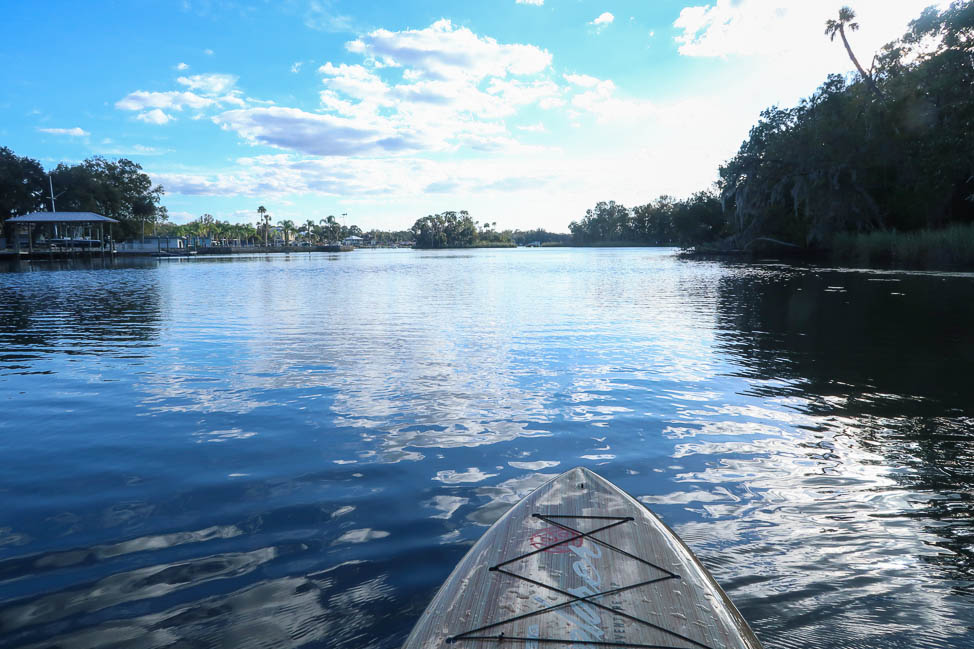 Paddleboard with Manatees in Florida