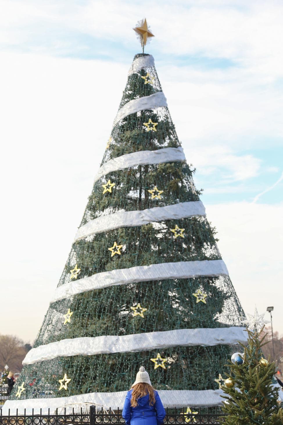 National Christmas Tree in Washington D.C.