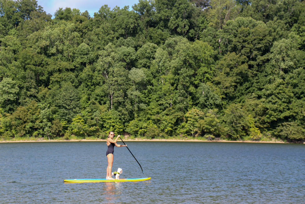 Paddleboarding with your Dog