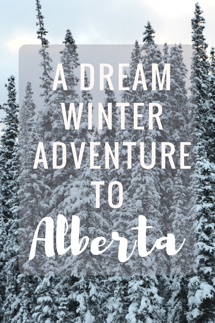 A Winter Trip to Alberta, Canada