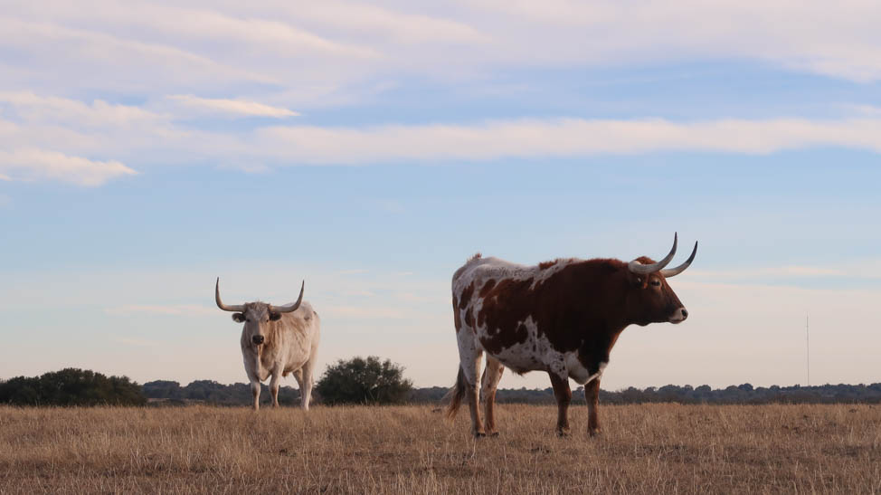 Sunset in Fredericksburg, Texas | Planning the Ultimate Texas Road Trip