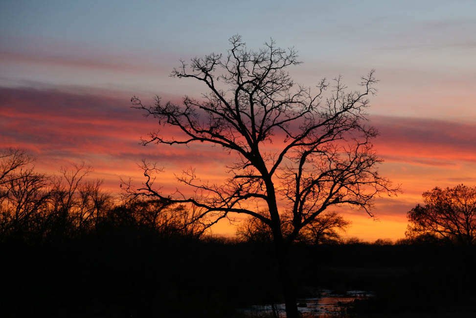 Sunset in Lyndon B. Johnson State Park, Texas | Planning the Ultimate Texas Road Trip