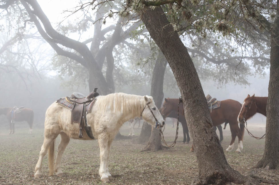 Cowboy Breakfast in Bandera, Texas | Planning the Ultimate Texas Road Trip