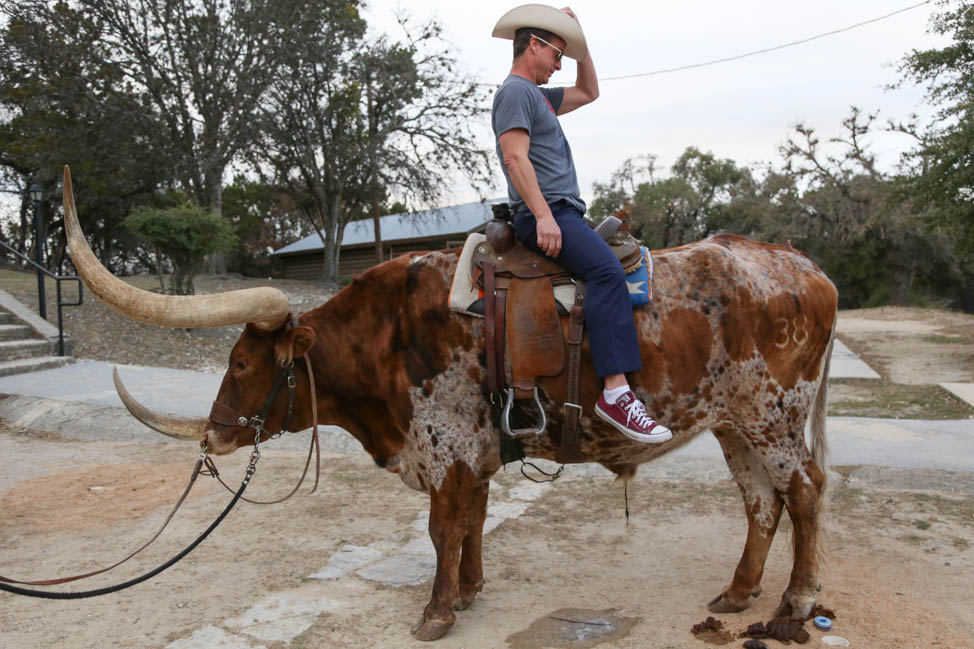  Riding a Longhorn in Texas | Planning the Ultimate Texas Road Trip