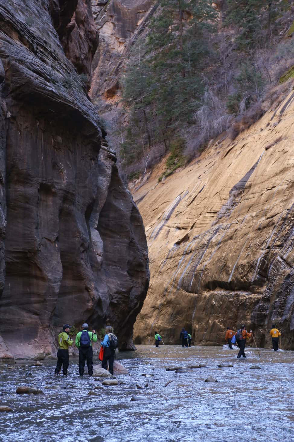 Zion National Park: Everything You Need to Know About Hiking the Narrows
