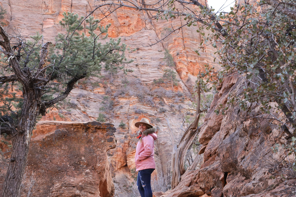 Best Hikes in Zion National Park