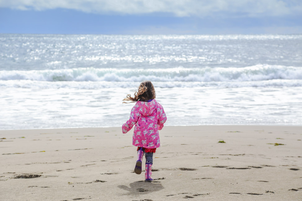 Limantour Beach in Point Reyes, California
