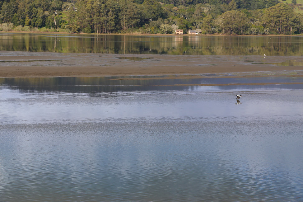 Rainbow in Bolinas Lagoon, California