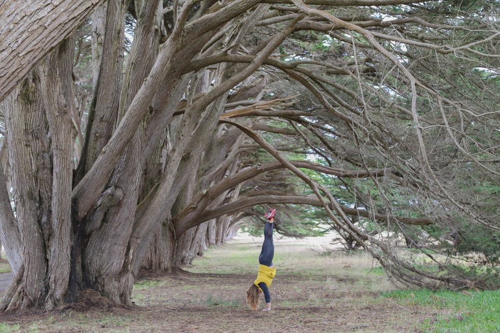 Point Reyes National Seashore in California