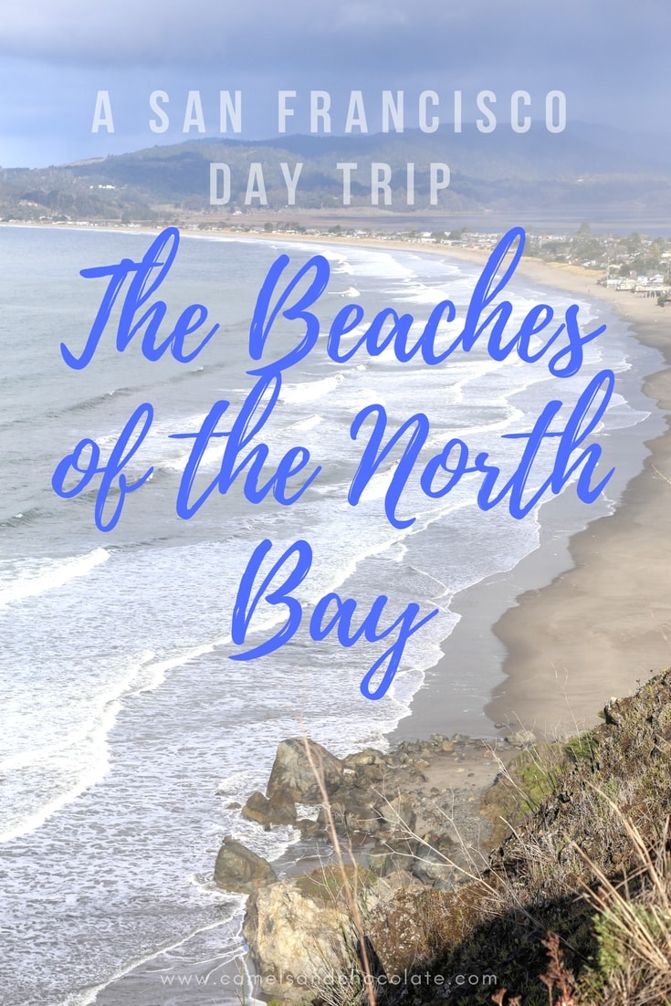 Point Reyes: A Day Trip from San Francisco