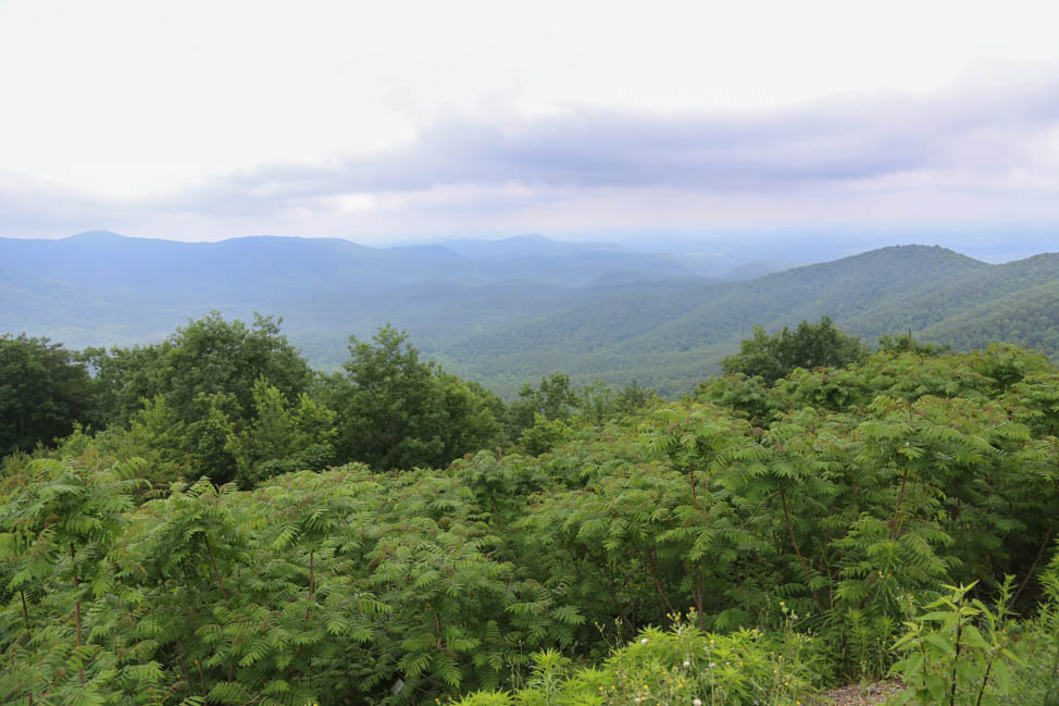 A Weekend Vacation in the Blue Ridge Mountains of Georgia